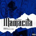 baixar musica Mark Exodus – Mamacita[IMG]