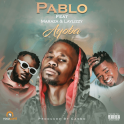 Pablo – Ayoba (feat. Maraza & Laylizzy) 2020[IMG]